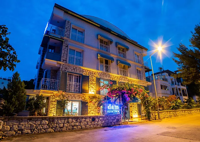 Hotel nahe College: Dam Hotel Lara
