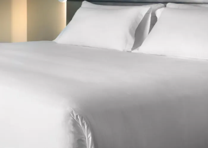 Hôtel avec piscine: Nh Collection Sevilla