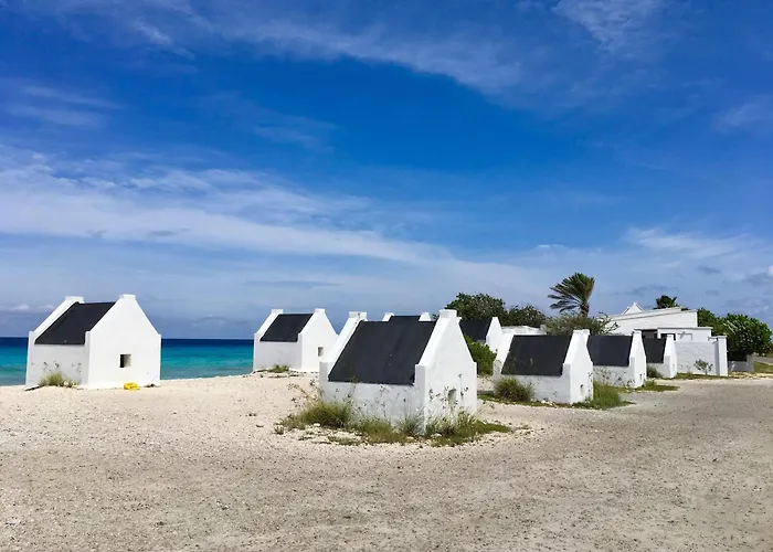 Hotel: Delfins Beach Resort Bonaire, Tapestry Collection By Hilton