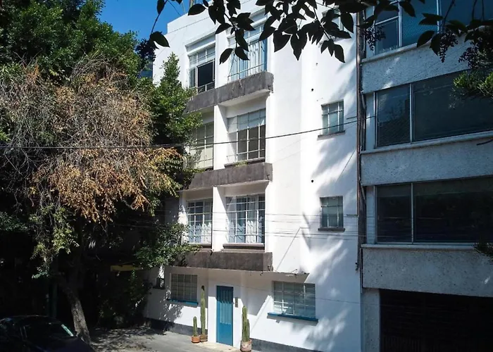 Perros hoteles AmazINN Places La Condesa Roma