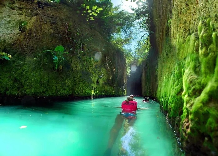 Perros hoteles Occidental At Xcaret Destination
