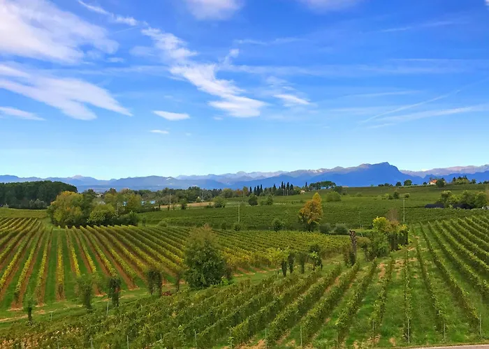 Hotel Nuova Barcaccia