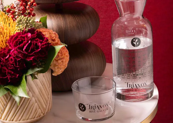 Hotel Trianon Rive Gauche