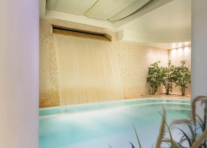 Hotel con piscina: Doubletree By Hilton Florence Metropole