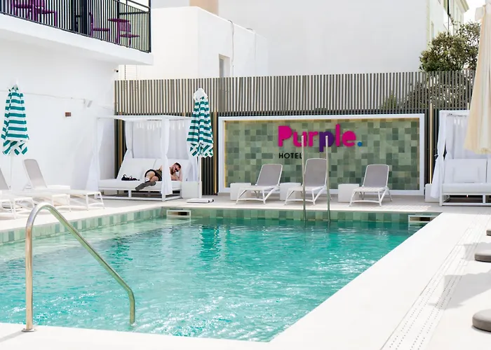 Pets Allowed Hotel Purple - Adults Only