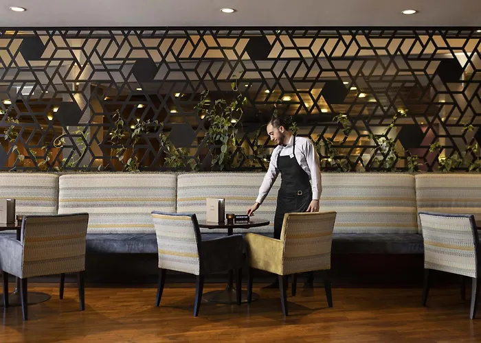 Ibis Ellerslie