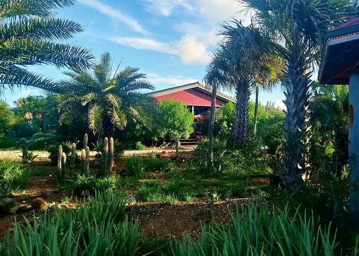 Hotels with a view Red Palm Village