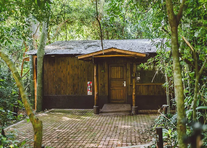 La Aldea De La Selva