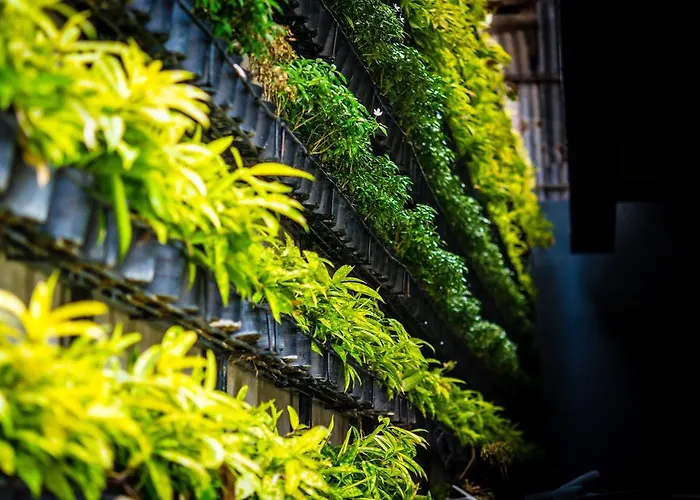 Resort: Diamond Palace Resort & Sky Bar