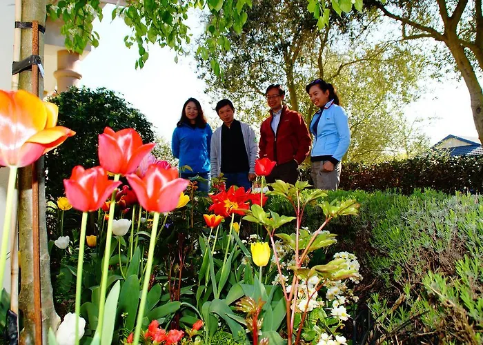 Resort: Olive House Bed And Breakfast