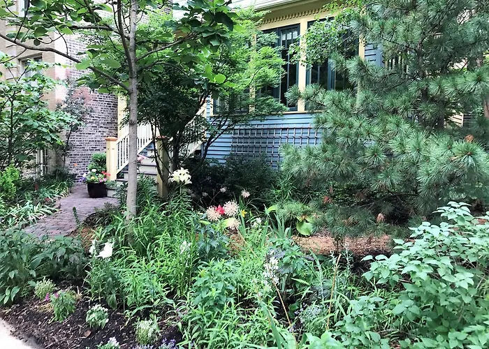 Magnolia Studios
