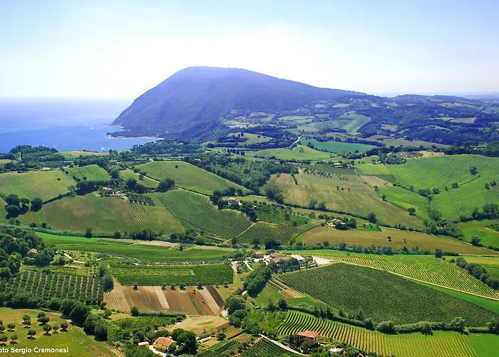 Le Vigne Del Conero