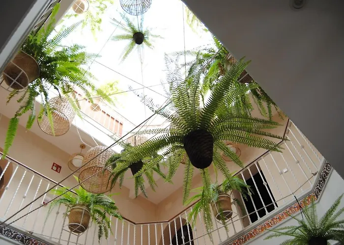 Hôtel accueillant les animaux: Pension Cordoba