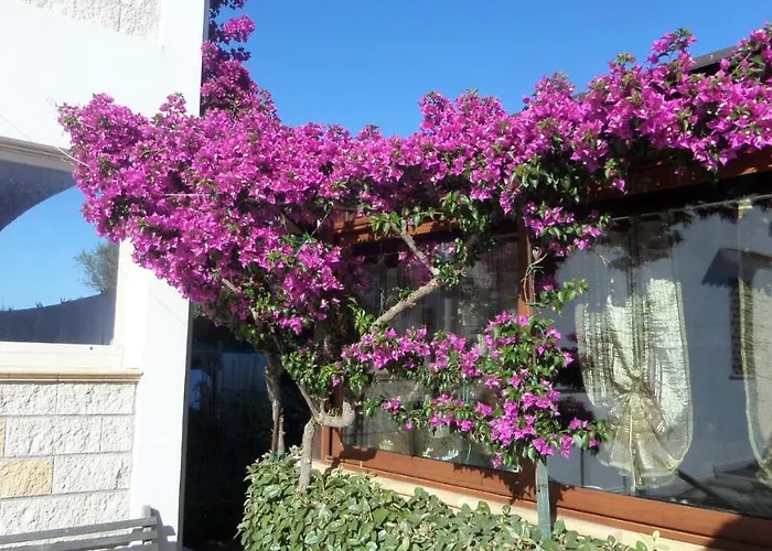 B&B La Posada
