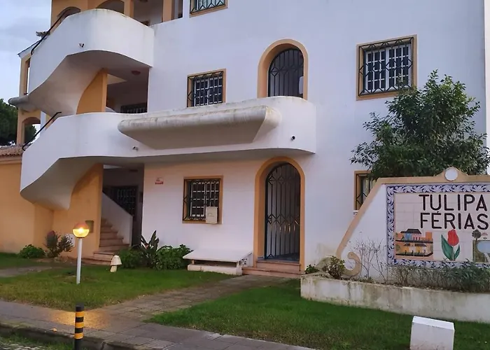Tulipa Ferias
