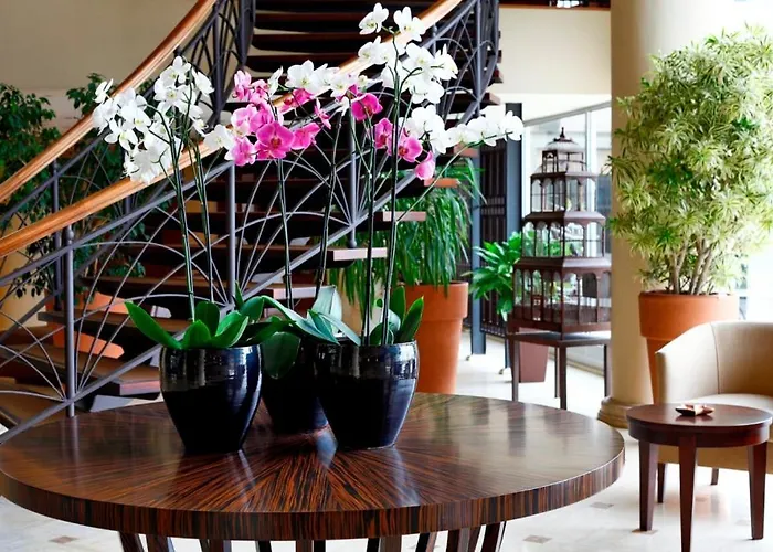Cinar Hotel